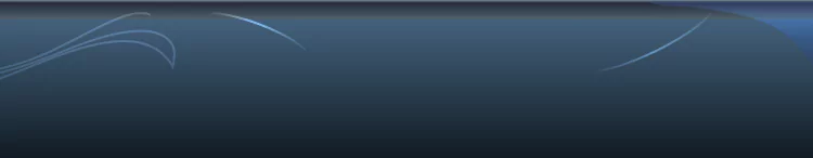 background category section